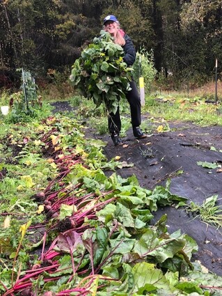 It’s a great time to consider growing your own vegetables
