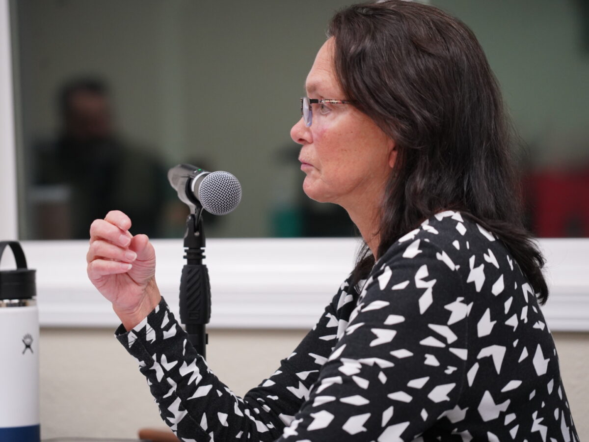 Borough manager Annette Kreitzer speaks during a Jan. 23 Assembly meeting. (Lex Treinen/Chilkat Valley News)
