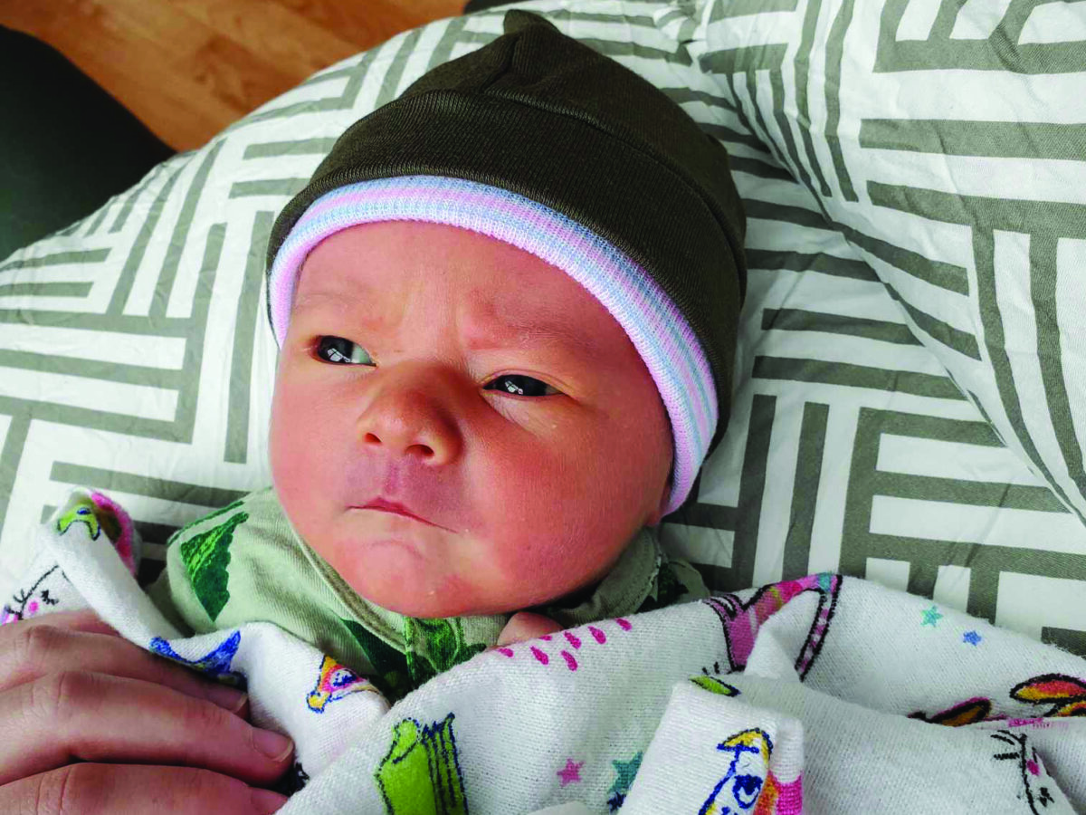 Lumi Andromeda Stevens was born to Kayla and Erik Stevens Jan. 25. (Photo courtesy/Erik Stevens)