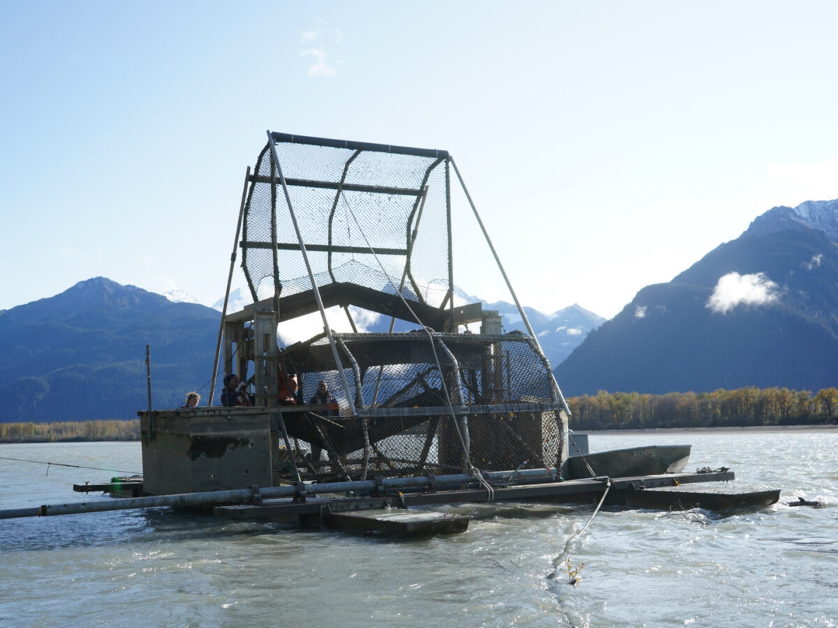 The Chilkat River fish wheel operates on Oct. 23, 2023 near Haines, Alaska. (Photo by Lex Treinen/Chilkat Valley News)