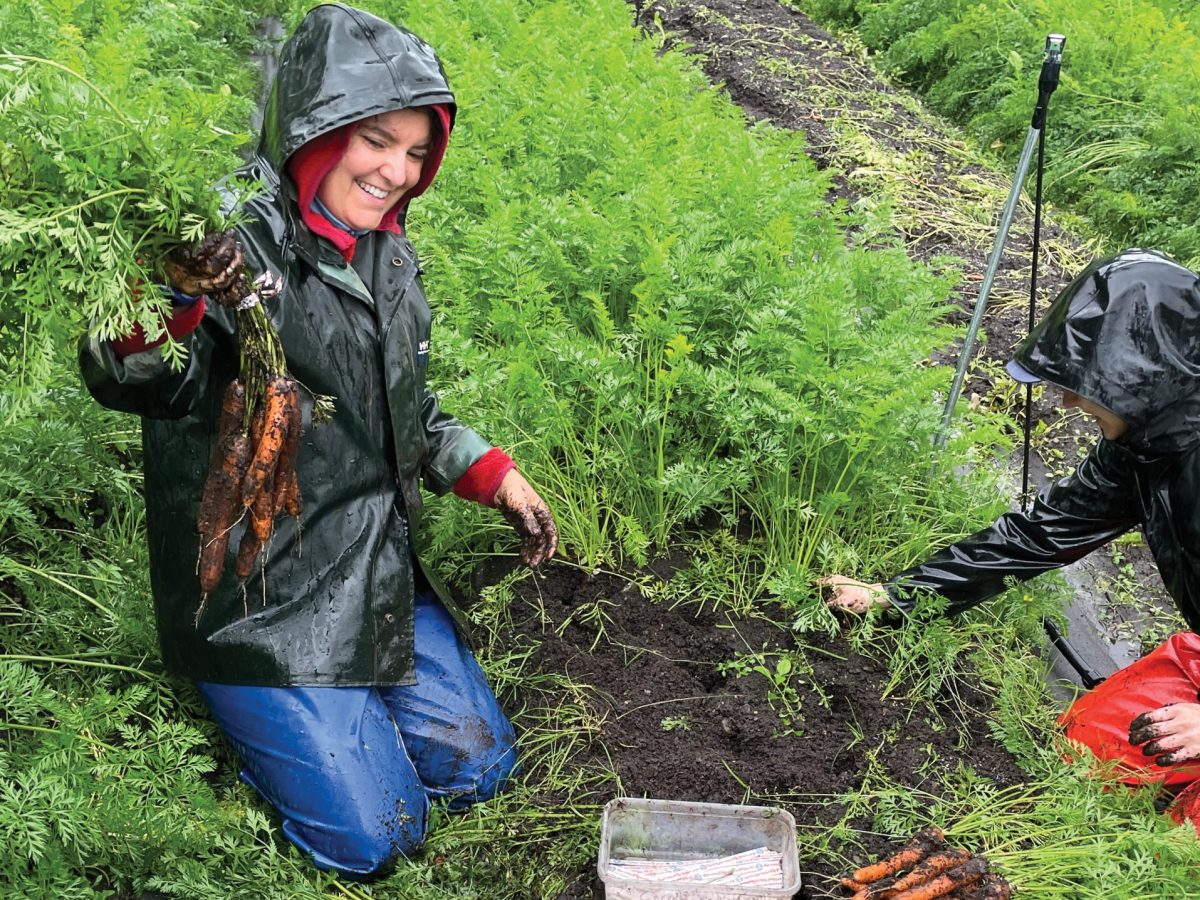 Sally Boisvert picks carrots at Four Winds Farm on Sep. 2, 2022, in Mosquito Lake. Boisvert's business recently won $20,000 to from Southeast business incubator Spruce Root. The funds are meant to be used to expand her business. (Photo courtesy Sally Boisvert)