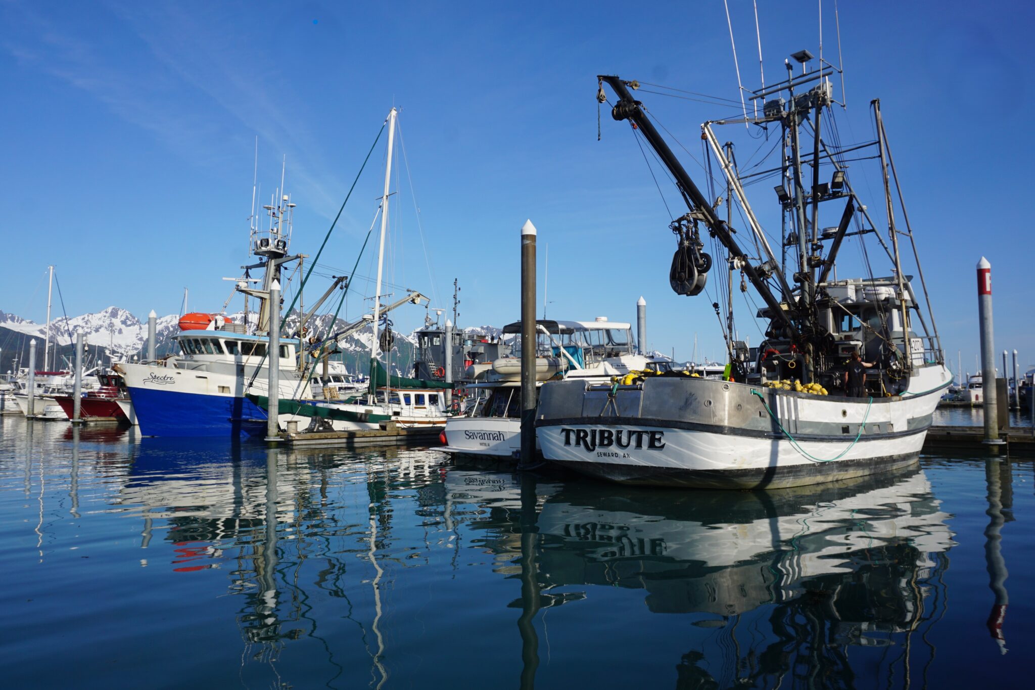 Alaska’s seafood industry lost $1.8 billion last year, NOAA report says ...