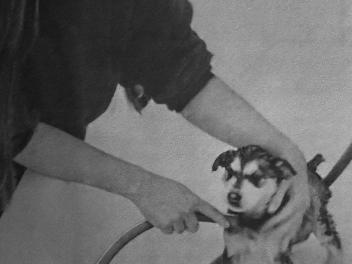 This Week in History: Insurance rates, a “new economy” and no money for a border station