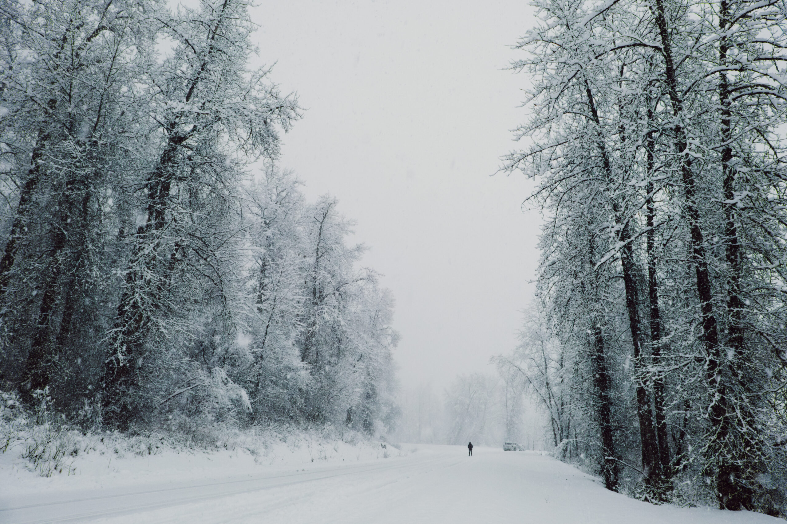 Looking back on our most read stories of 2025