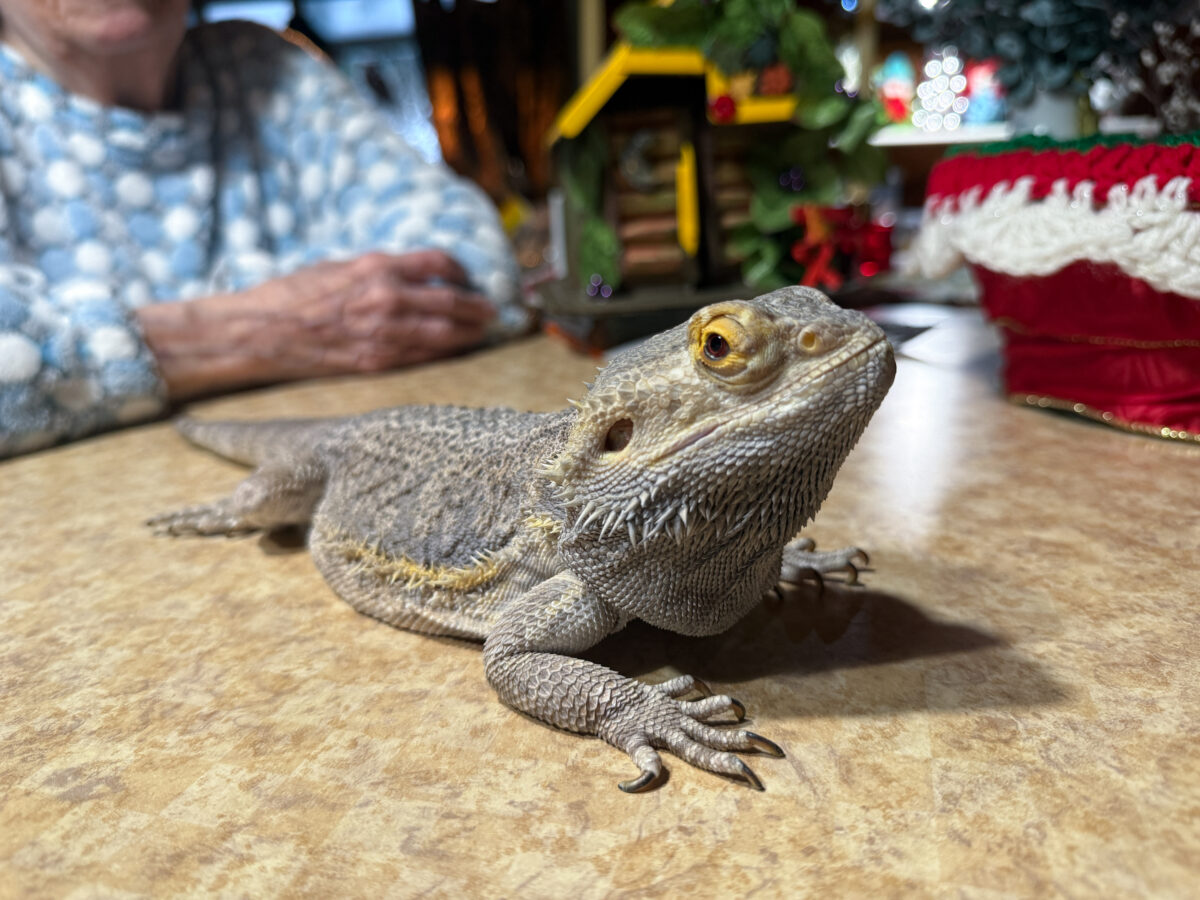 Duly Noted: Marathons, marriage, and more