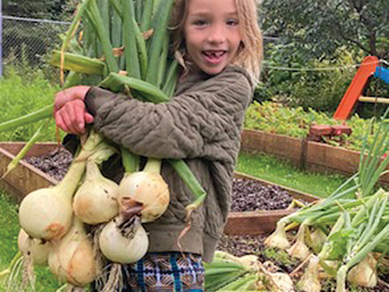 Duly Noted: An illumination, deer hunting, strong athletes, good gardeners, visitors and pie