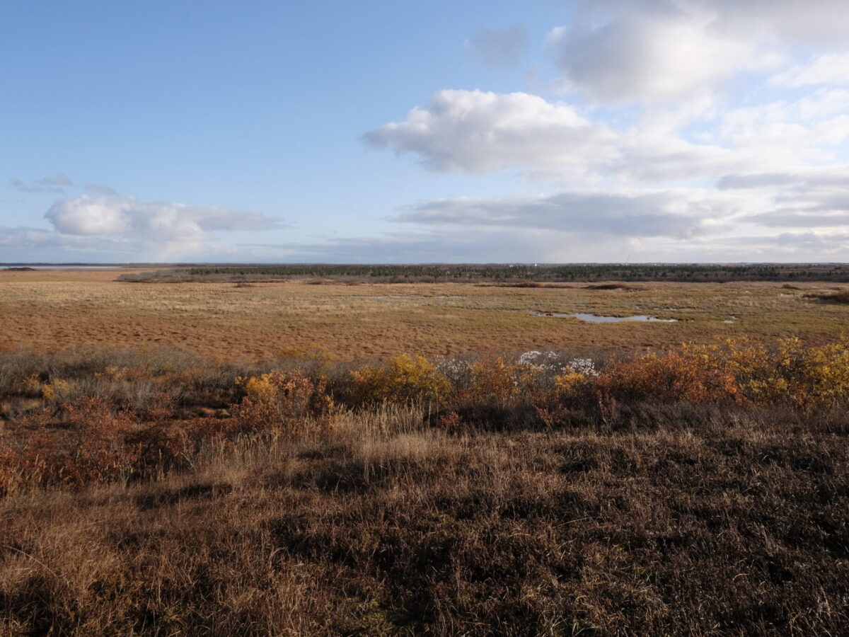 National Native helpline for domestic violence and sexual assault to open Alaska-specific service