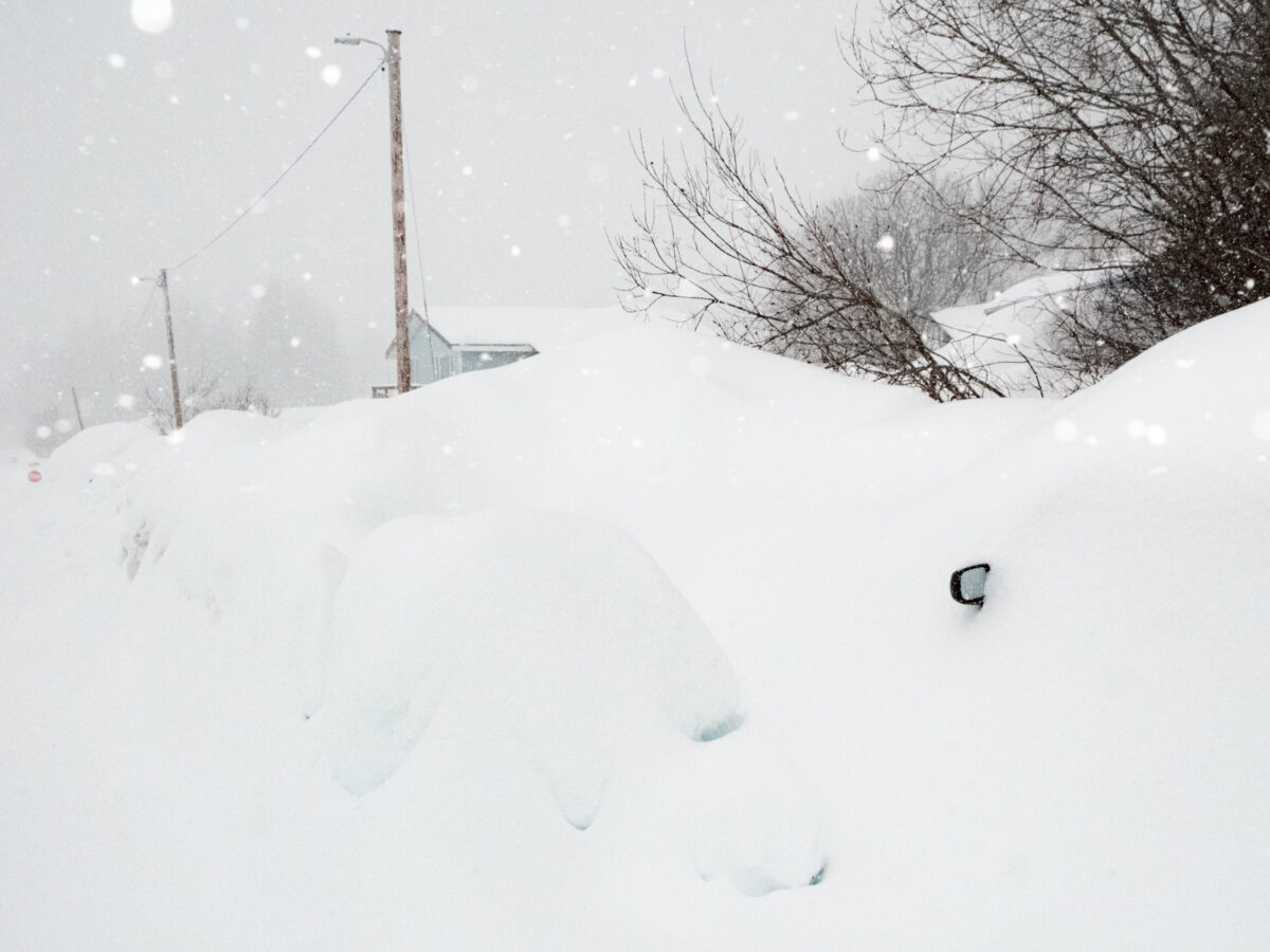 What are you doing here? Neighbor conducts one-man rescue