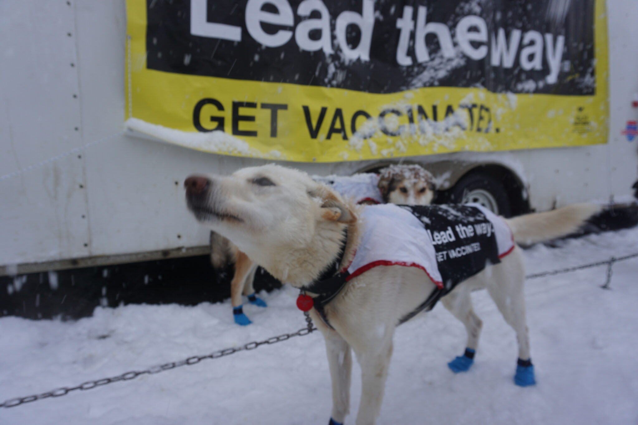 New bill would allow Alaska to use vaccine advice of medical experts outside of federal government
