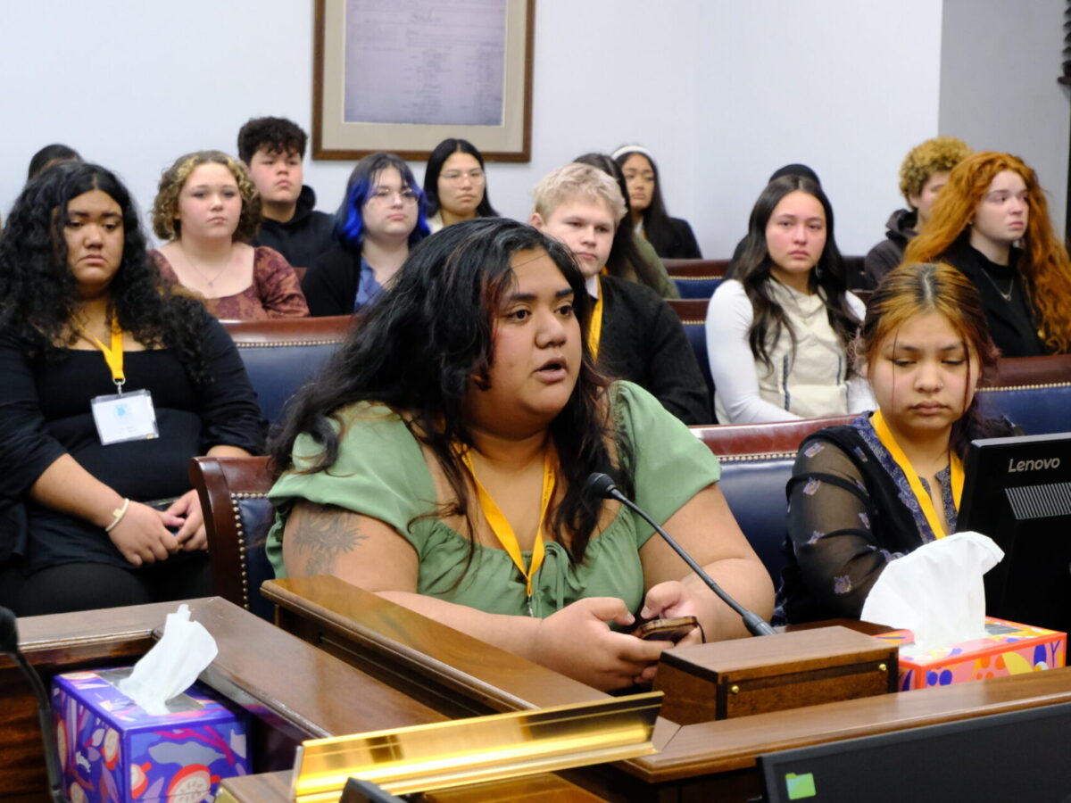 Anchorage lawmaker pushes legislation to protect sibling ties for Alaska foster youth