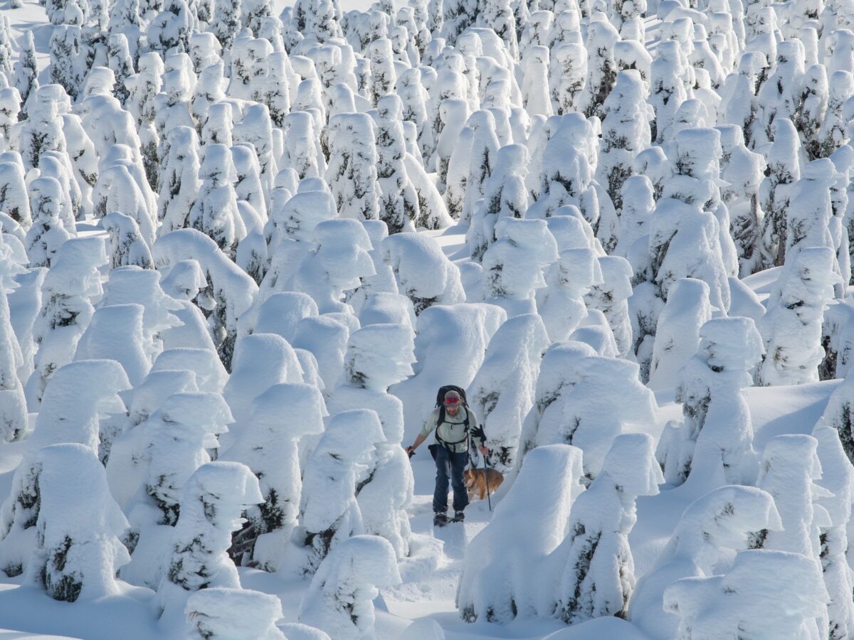 Q&A: A first-place finisher’s guide to the Kat to Koot 