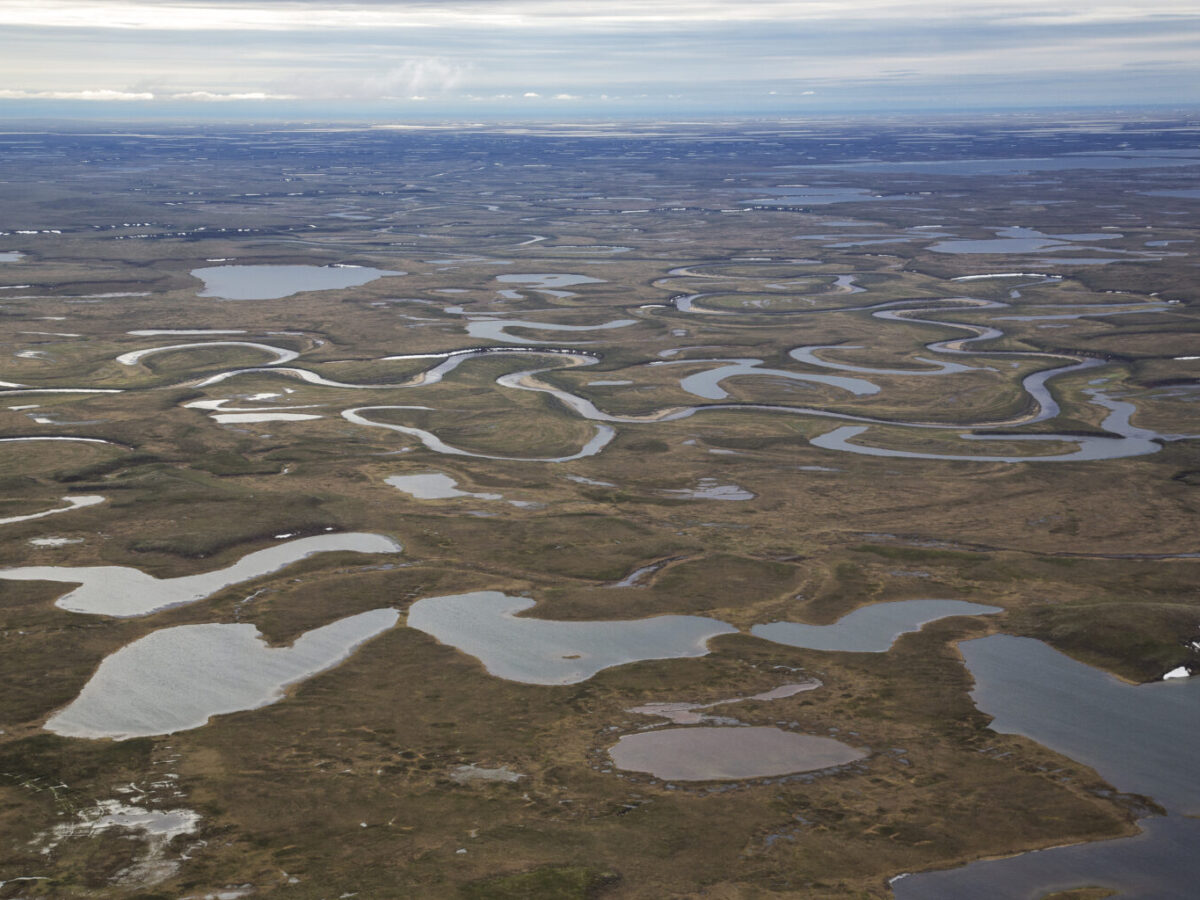 Public notice error forces delay in federal oil lease sale in Arctic Alaska