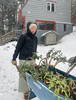 Duly Noted: Chicken tragedy, romance books, ski-race disqualification and more