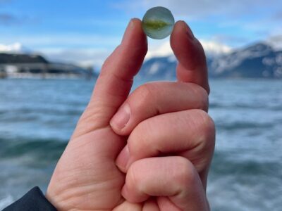 Duly Noted: Carving, Canada, Snowboarding and more