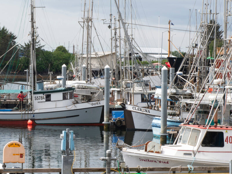 May 13 New Deadline On Chinook Finding