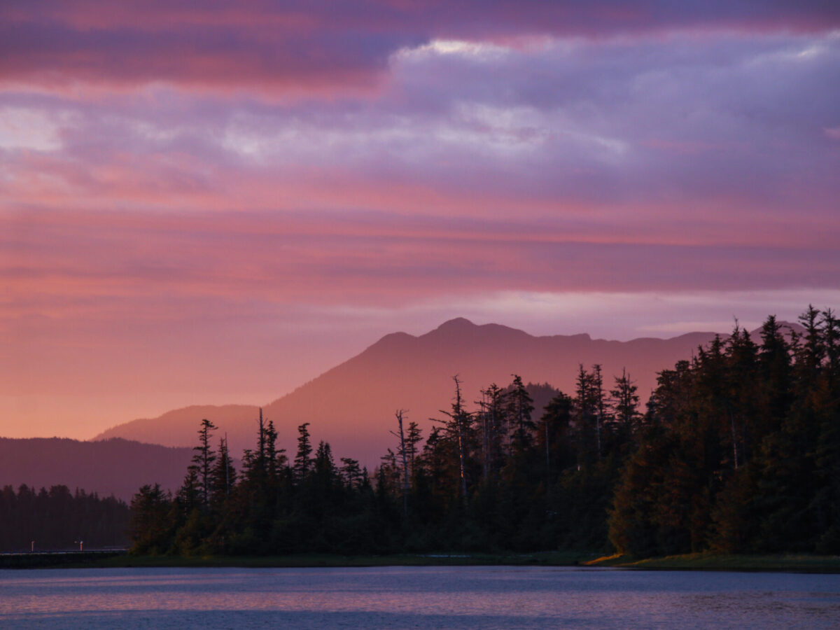 U.S. Forest Service overhaul sows confusion, concern