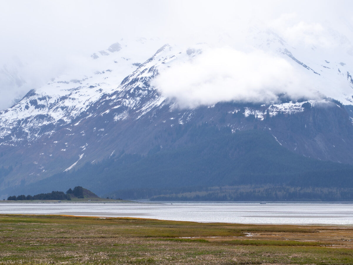 Tour boat freed after being stranded in the Chilkat River Flats 