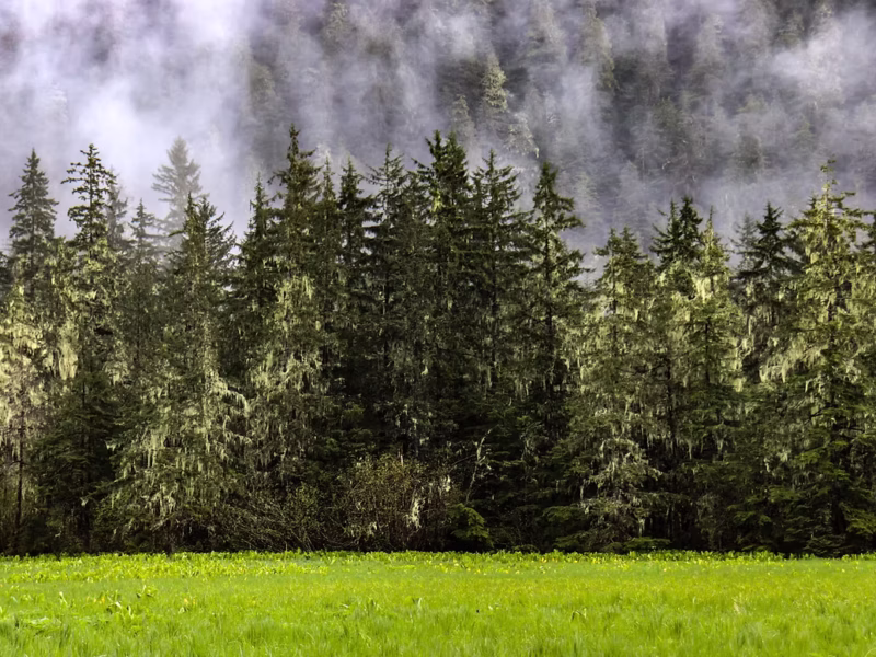Southeast Alaskans largely critical of new direction on Tongass management plan, process