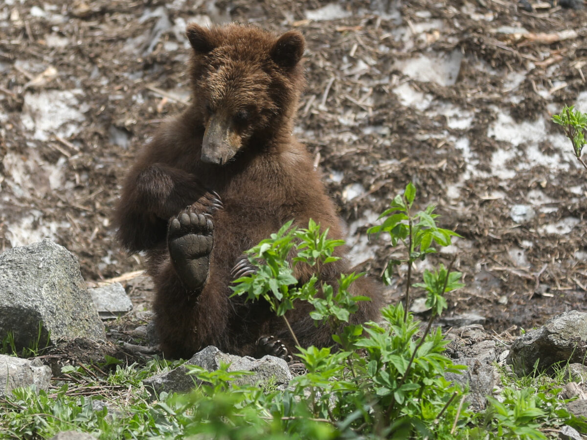 June, in photos