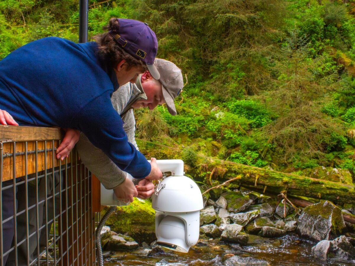 Wrangell students help bring Anan bear cams online for third summer
