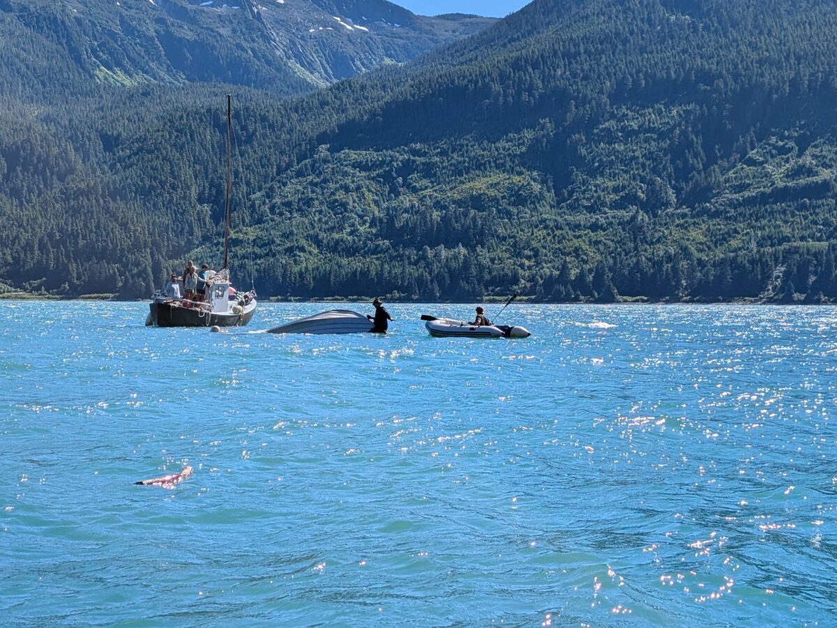 Weekend sees surge of sockeye, capsized boats