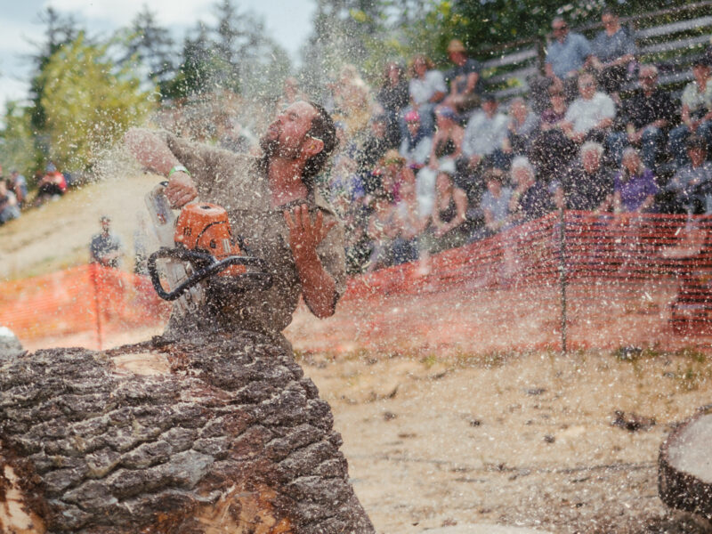 The fair, in photos