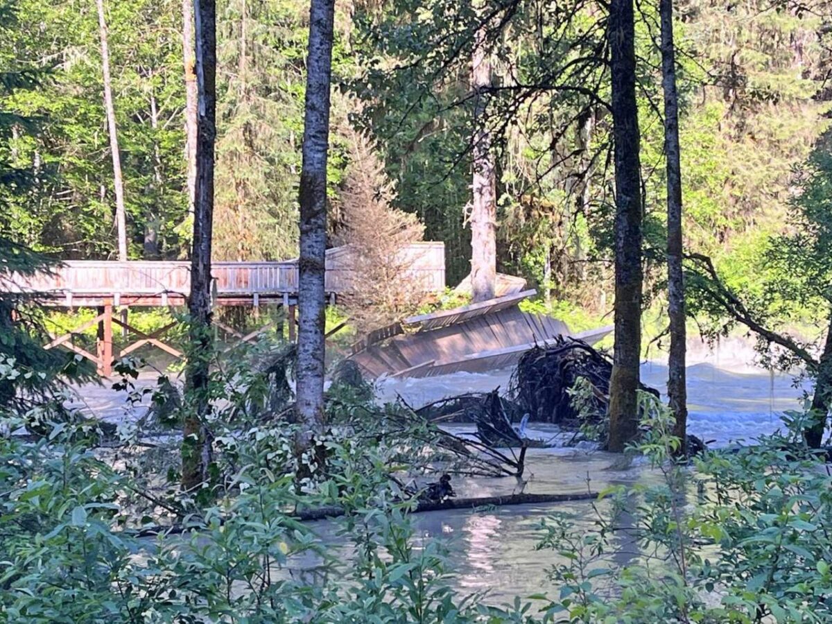 Flooding from glacial outburst damages Fish Creek site near Hyder