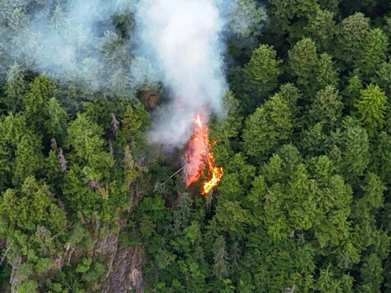 Wildfire at Chilkat Lake makes fourth for Chilkat Valley this year