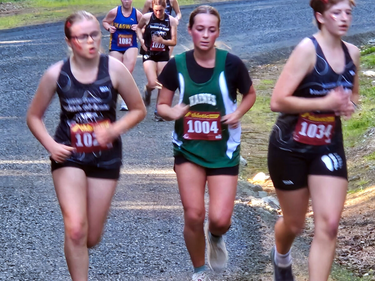 Amid ferry troubles, worries about bears Haines hosts cross country meet