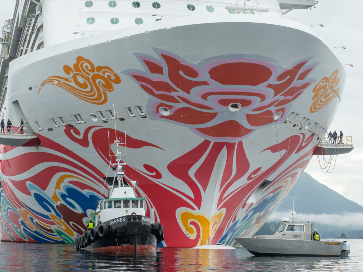 Fin whale struck by cruise ship in Sitka Sound