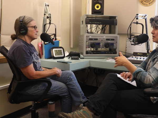 Watch: An interview with Kim Rosado, candidate for planning commission