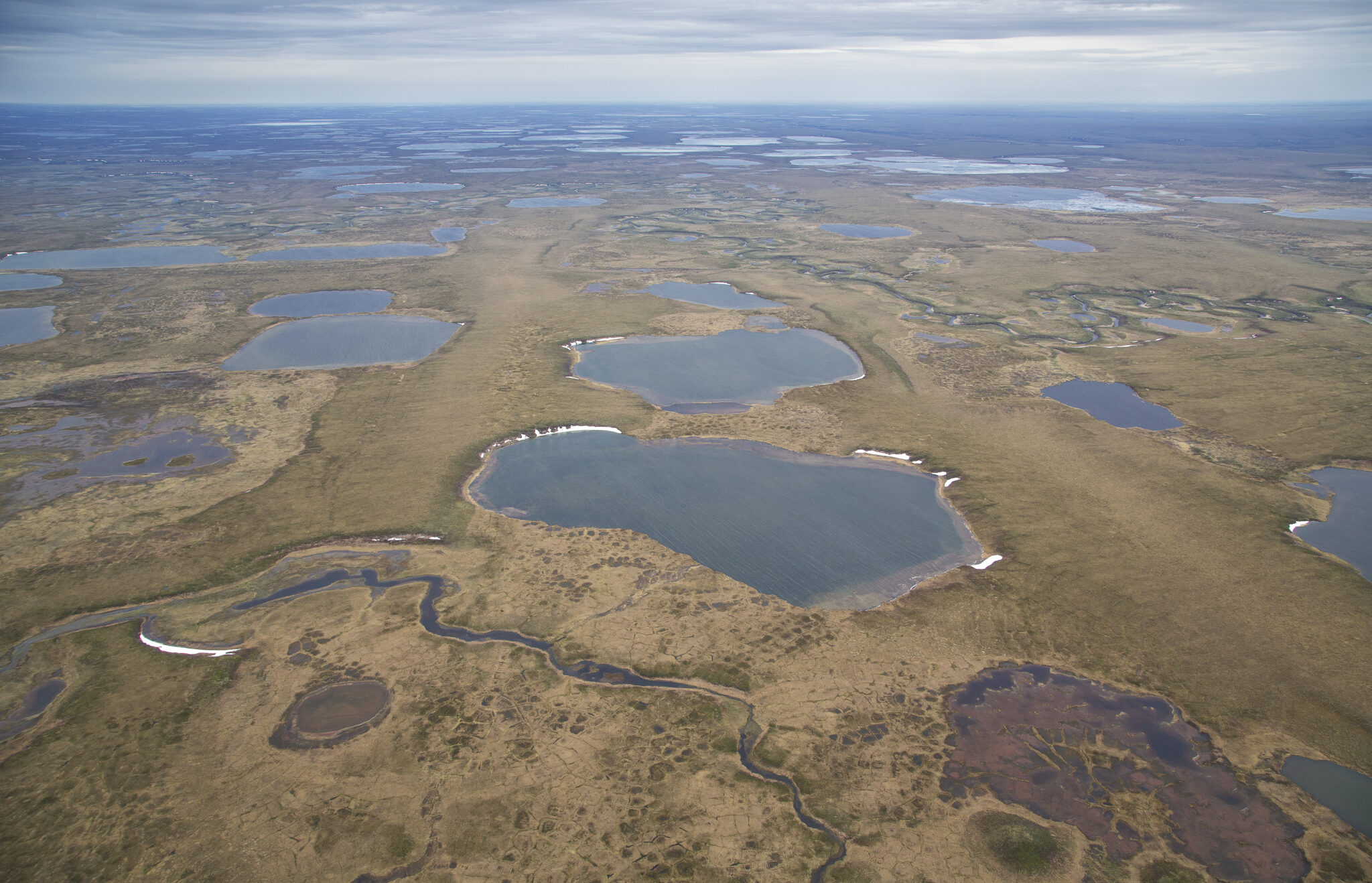 <a href="https://www.chilkatvalleynews.com/2026/09/07/feds-seek-to-streamline-arctic-oil-permitting-ending-environment-studies-of-individual-projects/" target="_blank">Feds seek to ‘streamline’ Arctic oil permitting, ending environment studies of individual projects</a>