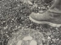 This Week in History: workshops, sports and chain-gangs