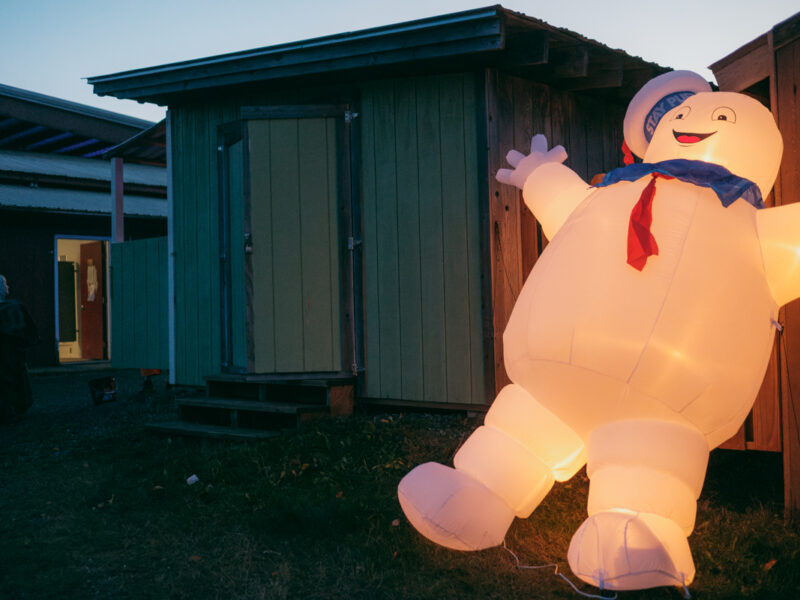A scare at the fair: in photos